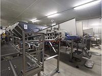 2009 innotec rvs bakken kantelaar - afbeelding 2 van  8