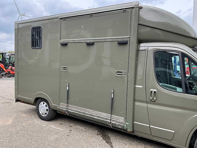 2009 peugeot boxer 435 2.2hdi paardenwagen v-804-nh - afbeelding 15 van  45