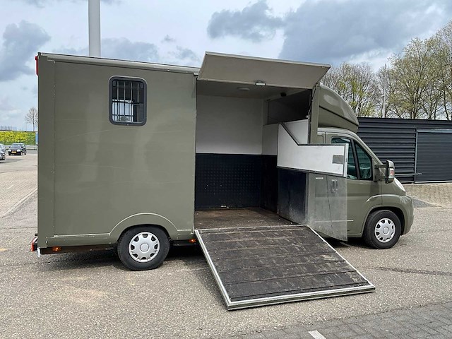 2009 peugeot boxer 435 2.2hdi paardenwagen v-804-nh - afbeelding 17 van  45