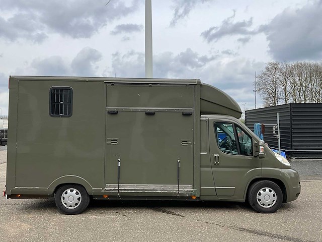 2009 peugeot boxer 435 2.2hdi paardenwagen v-804-nh - afbeelding 8 van  45