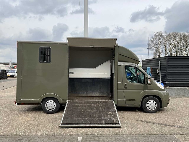 2009 peugeot boxer 435 2.2hdi paardenwagen v-804-nh - afbeelding 22 van  45