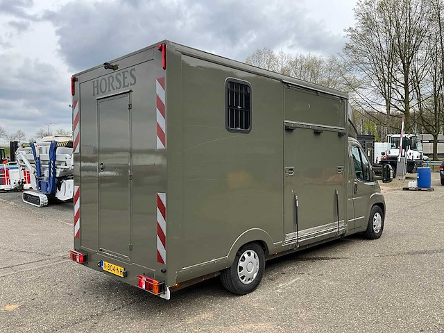 2009 peugeot boxer 435 2.2hdi paardenwagen v-804-nh - afbeelding 40 van  45