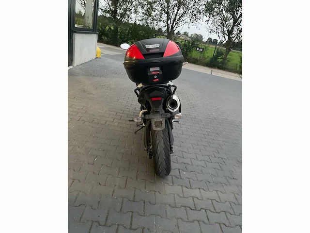 2009 triumph - tiger 1050 - motorcycle - afbeelding 5 van  10