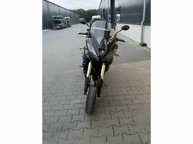 2009 triumph - tiger 1050 - motorcycle - afbeelding 9 van  10