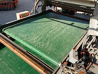 2009 vlaming bloembollenrooier - afbeelding 3 van  13