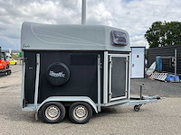 2009 xx-trail jade paardentrailer 88-wd-dr - afbeelding 21 van  24