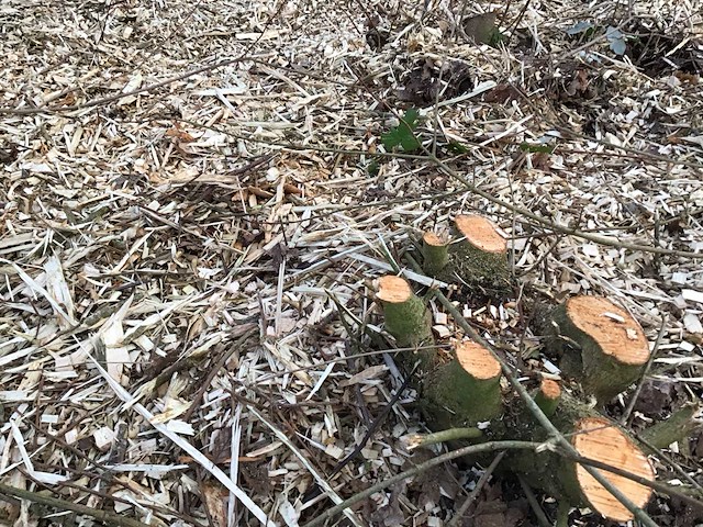 2010 aanhanger met houthakselaar - afbeelding 15 van  16