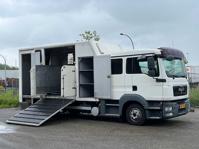 2010 man tgl paardenvervoer, 6-persoons cabine - afbeelding 1 van  26