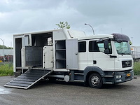 2010 man tgl paardenvervoer, 6-persoons cabine - afbeelding 1 van  26