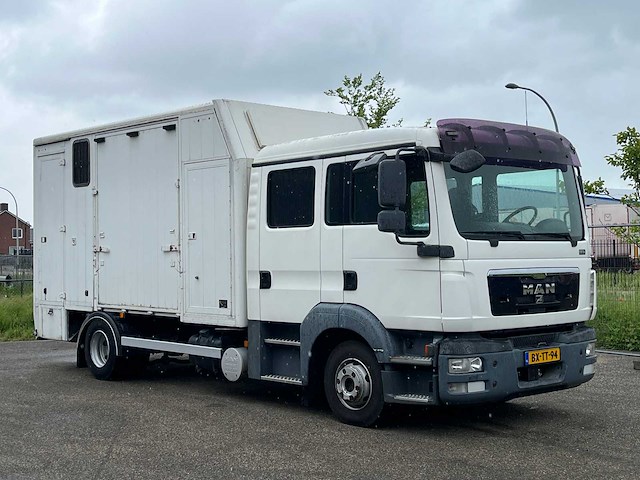 2010 man tgl paardenvervoer, 6-persoons cabine - afbeelding 10 van  26