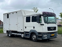 2010 man tgl paardenvervoer, 6-persoons cabine - afbeelding 10 van  26