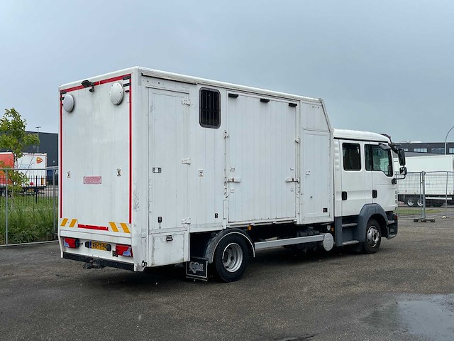 2010 man tgl paardenvervoer, 6-persoons cabine - afbeelding 18 van  26