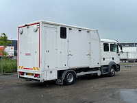 2010 man tgl paardenvervoer, 6-persoons cabine - afbeelding 18 van  26