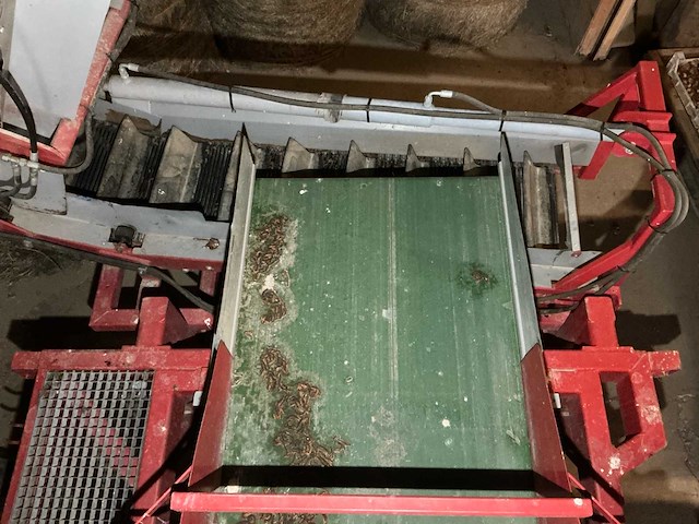 2010 vlaming bloembollen netten rooier - afbeelding 17 van  57