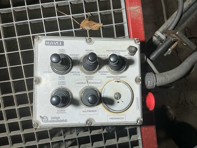 2010 vlaming bloembollen netten rooier - afbeelding 25 van  57