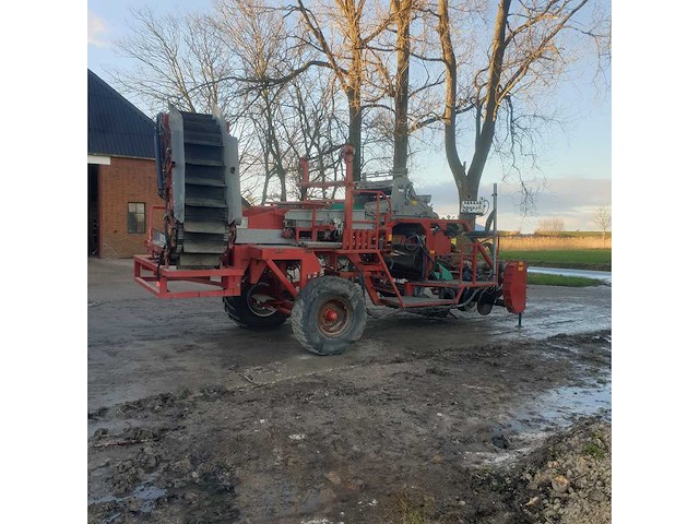 2010 vlaming bloembollen netten rooier - afbeelding 5 van  57