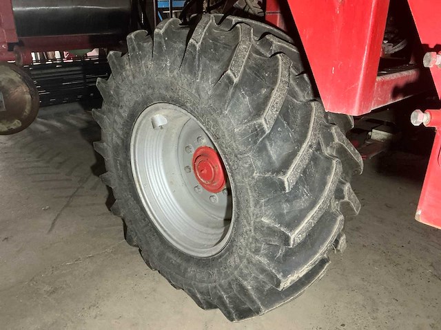 2010 vlaming bloembollen netten rooier - afbeelding 44 van  57