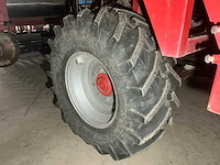 2010 vlaming bloembollen netten rooier - afbeelding 44 van  57