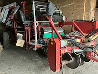 2010 vlaming bloembollen netten rooier - afbeelding 56 van  57