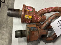 2011 verschillende hijs ogen - afbeelding 3 van  6