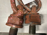 2011 verschillende hijs ogen - afbeelding 4 van  6