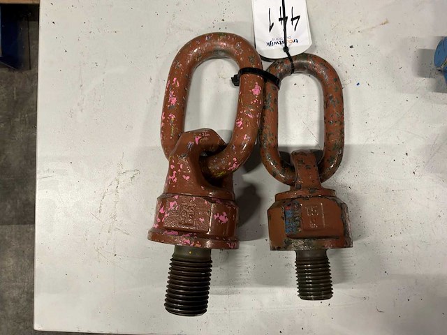 2011 verschillende hijs ogen - afbeelding 6 van  6