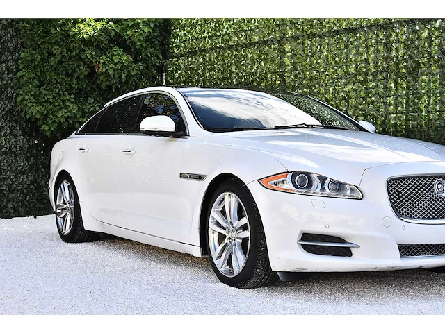 2012 jaguar xjl portfolio saloon 5,0l v8 btw auto - afbeelding 5 van  91