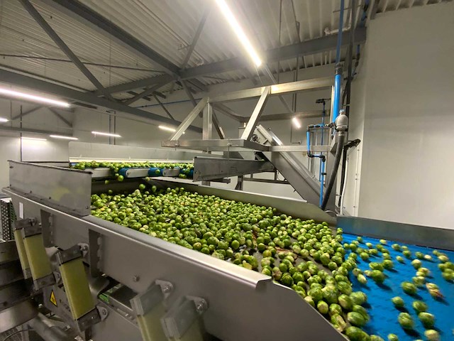 2012 odenberg ngr 10 12 068p, ngr 069p sorteer inrichting - afbeelding 24 van  27