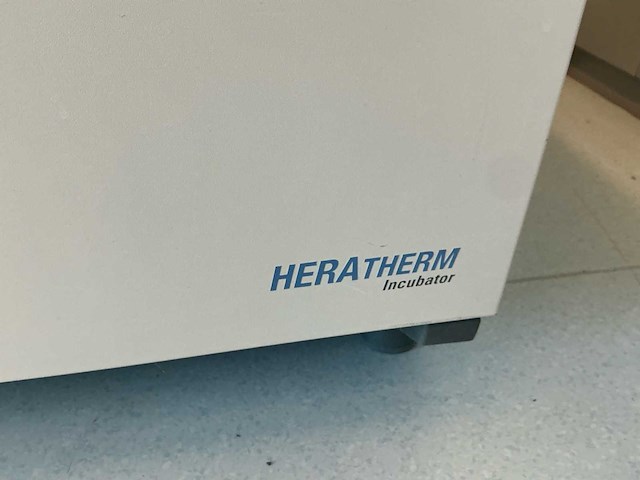 2012 thermowetenschappelijk heratherm igs180 laboratoriumincubator - afbeelding 4 van  7