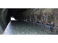 2012 votex roadmaster 2307 front klepelmaaier - afbeelding 14 van  15