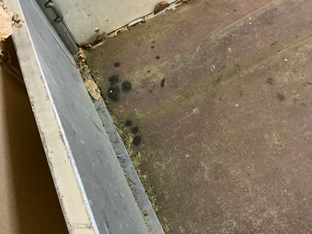 2013 anssems psx 2500-325x178 aanhangwagen - afbeelding 4 van  20