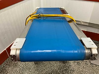 2013 bodijn tra transportband - afbeelding 4 van  5