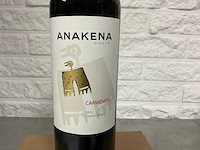 2013 carmenere (18x) - afbeelding 1 van  3