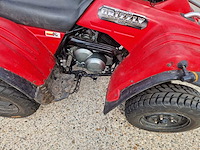 2013 yamaha grizzly 300 quad - afbeelding 5 van  13