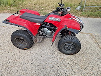 2013 yamaha grizzly 300 quad - afbeelding 1 van  13