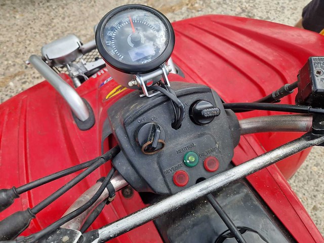 2013 yamaha grizzly 300 quad - afbeelding 11 van  13