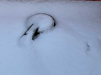 2014 atec eb2 2-1 dubbelas aanhangwagen - afbeelding 5 van  20