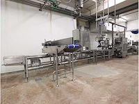 2014 proseal ct2v verpakkingslijn - afbeelding 9 van  16