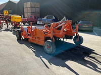 2014 struik 2bf 220 beddenfrees - afbeelding 6 van  10