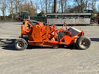 2014 struik 2bf 220 beddenfrees - afbeelding 9 van  10