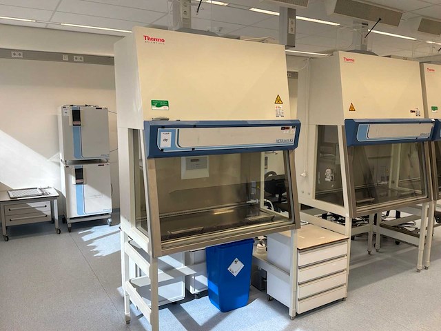 2014 thermo scientific herasafe ks 12 microbiologische veiligheidskast en12469 - afbeelding 1 van  8