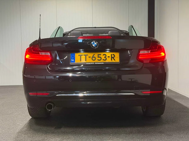 2015 - bmw - 2-serie cabrio - 218i m sport - tt-653-r iaw - afbeelding 18 van  22