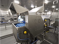 2015 dofra foodtech rvs aardappel segmenteerder - afbeelding 1 van  11