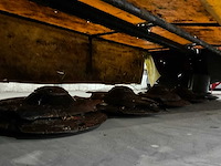 2015 fella sm320-p achter schijvenmaaier - afbeelding 14 van  15