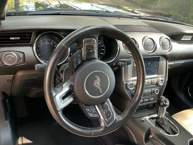 2015 ford ford mustang 50 years personenauto - afbeelding 4 van  8