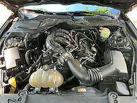 2015 ford ford mustang 50 years personenauto - afbeelding 8 van  8
