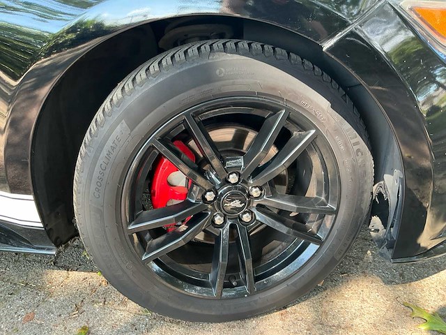 2015 ford ford mustang 50 years personenauto - afbeelding 1 van  8