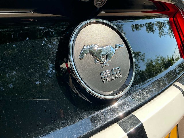 2015 ford ford mustang 50 years personenauto - afbeelding 3 van  8