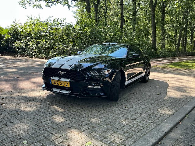 2015 ford ford mustang 50 years personenauto - afbeelding 1 van  29