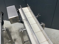 2015 opvoer transportband (2x) - afbeelding 4 van  5